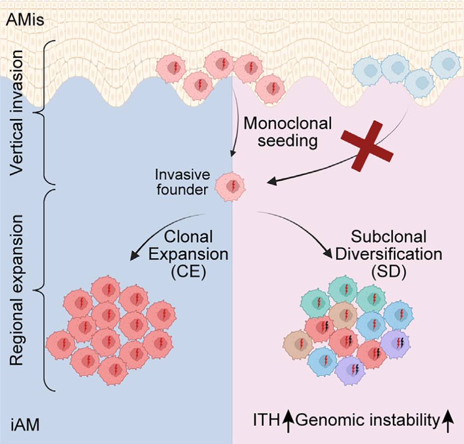 Tumor Clonal Evolution