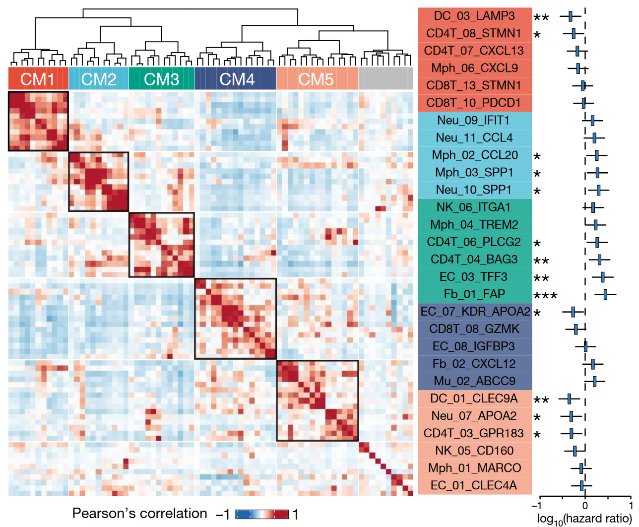 Tumor Microenvironment